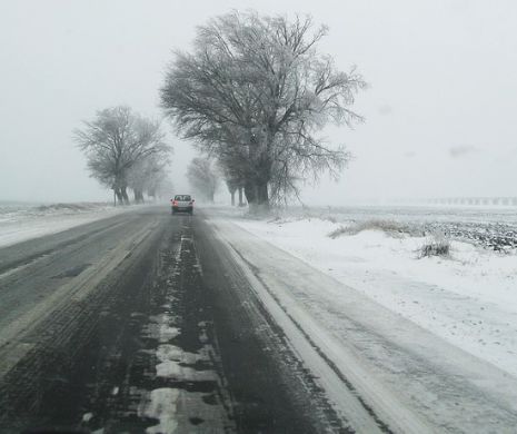 Cod Galben de inundaţii în sudul ţării pe râurile Vedea şi Teleorman. În Oltenia, Muntenia şi Dobrogea sunt anunţate precipitaţii abundente