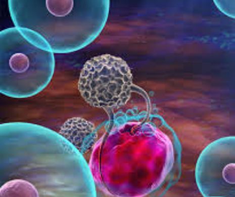 Cum poate fi vindecată leucemia