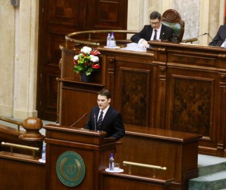 Danileț: CCR poate permite arestarea lui Șova