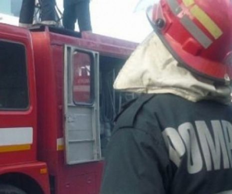 De frica DNA și DIICOT, au incendiat pe un câmp un morman de acte și carduri. Poliția a deschis o ANCHETĂ