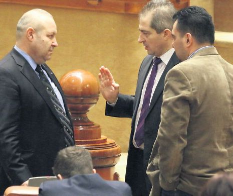 Grupul parlamentar PP-DD se va numi "Democrat şi Popular", niciun deputat din grup nemafiind membru al partidului lui Dan Diaconescu