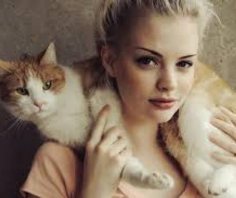 INCREDIBIL: Ce muzică ASCULTĂ felinele. Puteţi asculta muzica pentru pisici AICI | VIDEO