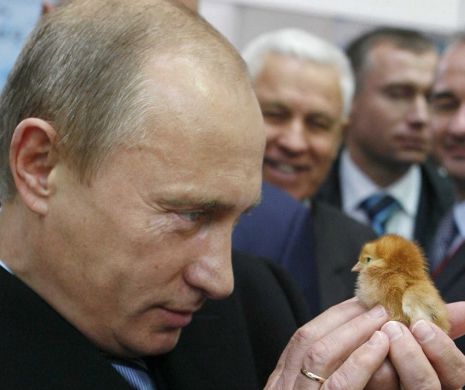 Lovit ÎN PLIN de Europa, VLADIMIR PUTIN îşi caută aliaţi economici