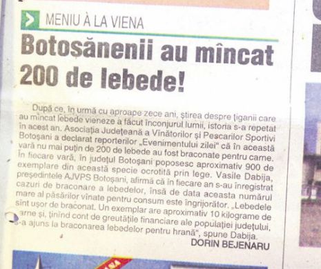 Memoria EVZ. Moldovenii din Botoșani au făcut tocăniță din 200 de lebede
