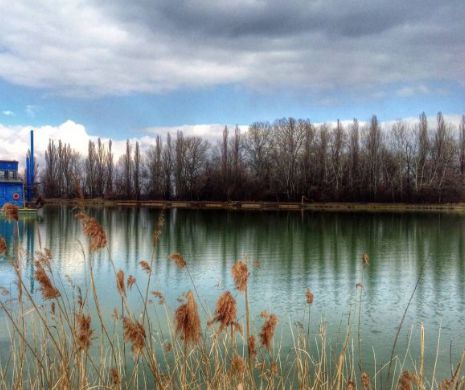 Paradisul verde de la Arcuda, deschis vizitatorilor