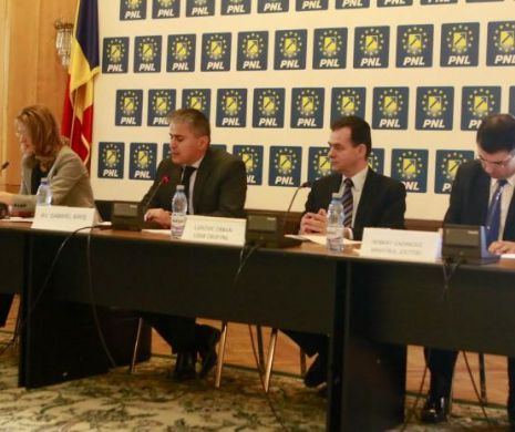 PNL organizează joi o dezbatere pe tema confiscării averilor ilicite