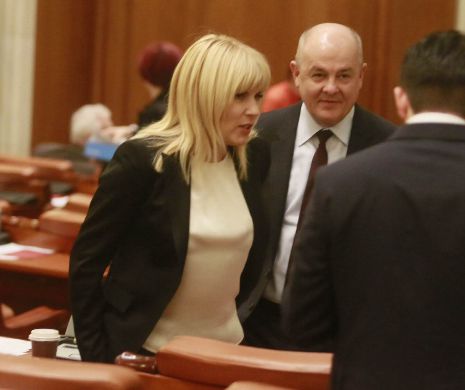 Ruxandra Dragomir: Elena Udrea nu-i poate dărui o floare și o îmbrățisare propriei mame. Este trist și dureros