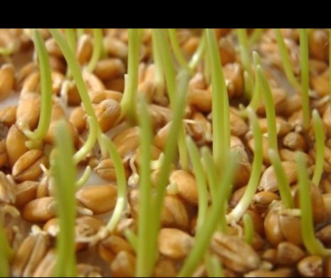 Se anunţă un an agricol bun: Rezervele de apă sunt satisfăcatoare
