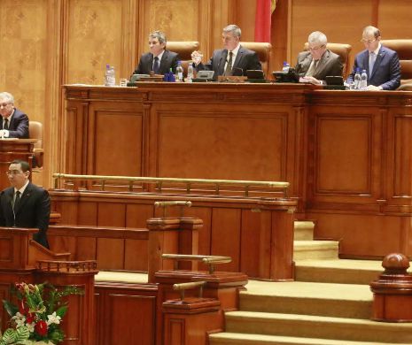 Senat: Statul trebuie să asigure finanţare de bază şi pentru învăţământul particular preuniversitar