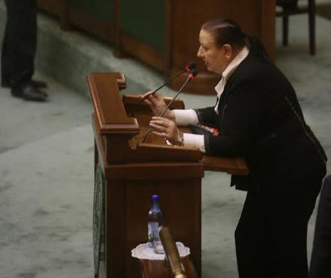 Senatoarea care l-a miruit pe Dan Şova şi a vrut să fie judecător CCR: "Mai lăsaţi-mă în pace cu Constituţia!" | VIDEO