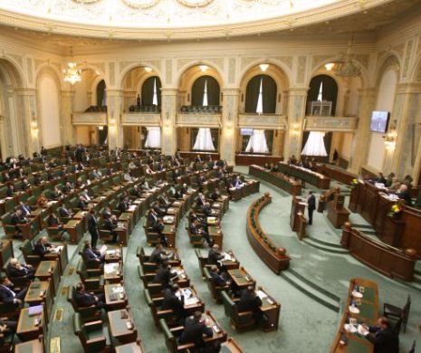 Senatul a adoptat TACIT un proiect de lege care le permite funcţionarilor publici să îşi angajeze RUDELE fără să fie incriminaţi