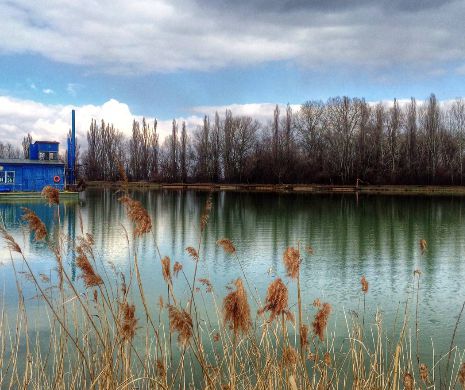 ZIUA MONDIALĂ A APEI. Paradisul verde de la Arcuda, deschis vizitatorilor (p)