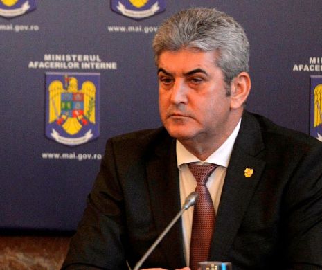 Averea lui Gabriel Oprea, verificată de ANI ca urmare a unei reclamaţii depuse de o avocată