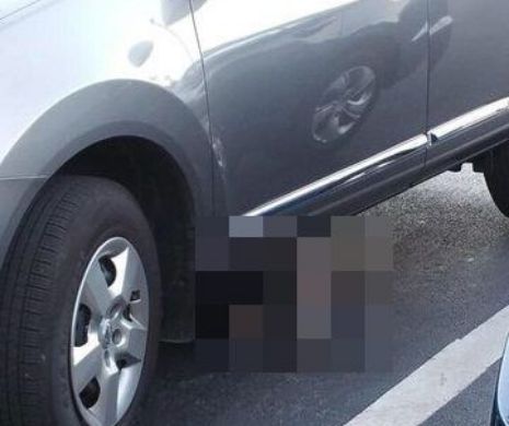 Ce a găsit un bărbat sub maşină. Nu a mai avut curaj să urce în automobil | VIDEO