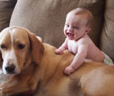 Ce calităţi au micuţii din familiile care au animale de companie
