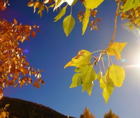 Cod galben de vânt în trei judeţe: Sibiu, Alba şi Mureş