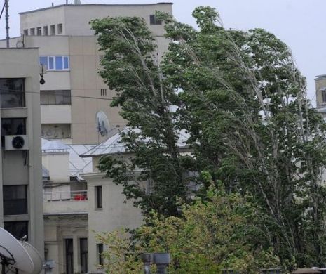 COD GALEBEN de furtună, până la ora 19.00. Vezi judeţele afectate