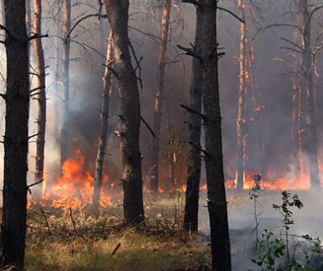 COMITET la Ministerul Mediului, după INCENDIU de Lângă Cernobîl, la ora17.00