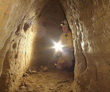 Descoperire uimitoare într-o pădure