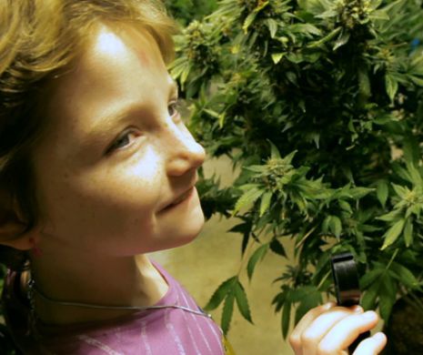 Este posibil aşa ceva? Povestea fetiţei care a scăpat de boală fiind tratată cu canabis