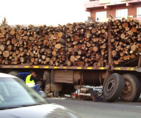 Fabrica de uși din Reghin ÎȘI OPREȘTE PRODUCȚIA. Peste 300 de angajați intră în concediu