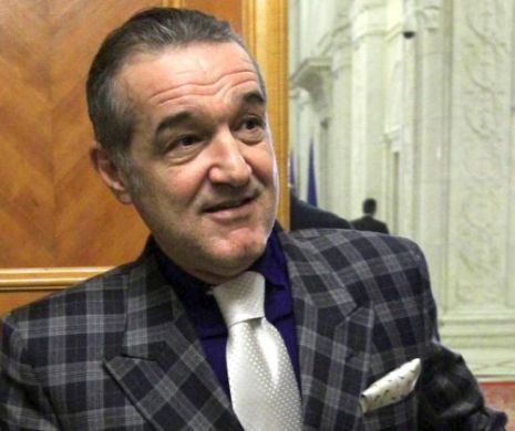 Gigi Becali, din nou în fața judecătorilor. Latifundiarul a dat în judecată statul pentru 320.000 de euro