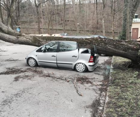 Nemţii sunt terifiaţi de URAGANUL Niklas. Imaginile care arată amploarea dezastrului