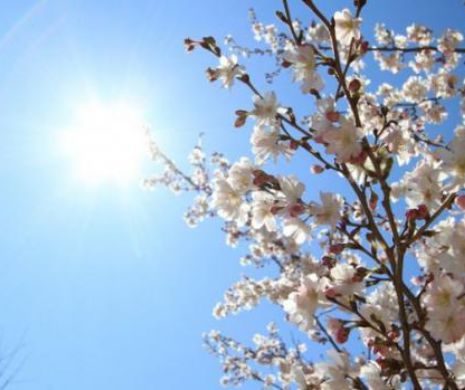 PROGNOZA METEO. Vreme caldă și frumoasă, cu temperaturi maxime care urcă până la 21 de grade Celsius
