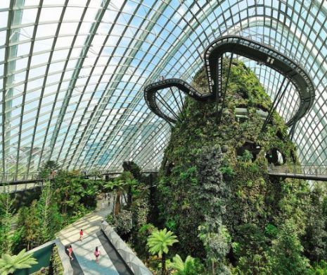 SF pe Pământ: Spectaculoasa seră de flori care atinge norii | VIDEO