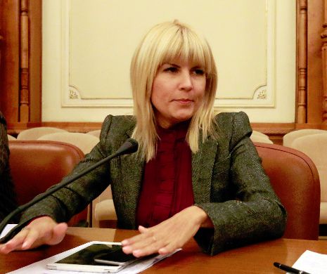 Surse: Candidați la alegerile locale pentru București din 2012 vor fi chemați la DNA în dosarul Gala Bute
