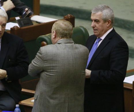 Tăriceanu vrea discuţii între conducerea Senatului şi CSM, după decizia CCR în cazul Şova