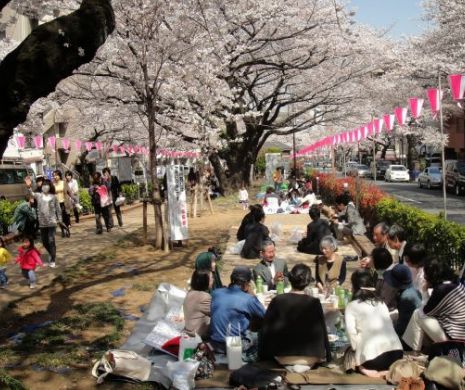 Topoganul radioactiv a speriat capitala Japoniei