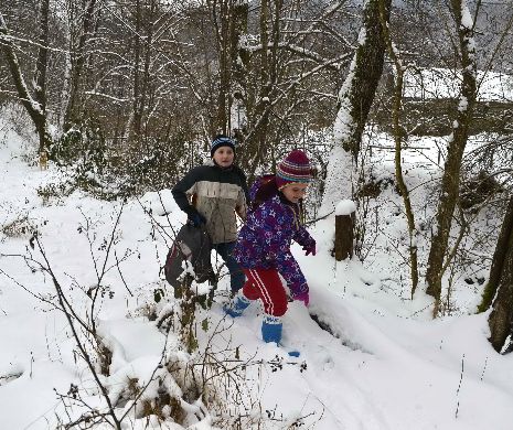 Zăpadă de peste 30 de centimetri în Retezat și Parâng. Recomandările salvamontiştilor