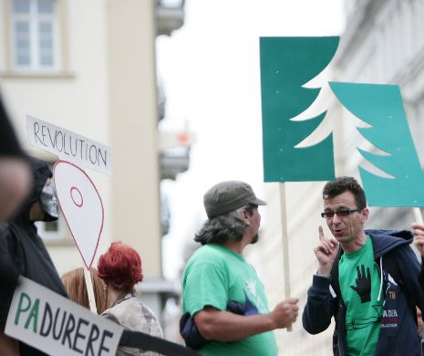 ARTA PROTESTULUI. Activiștii au protestat creativ împotriva tăierilor de păduri I GALERIE FOTO