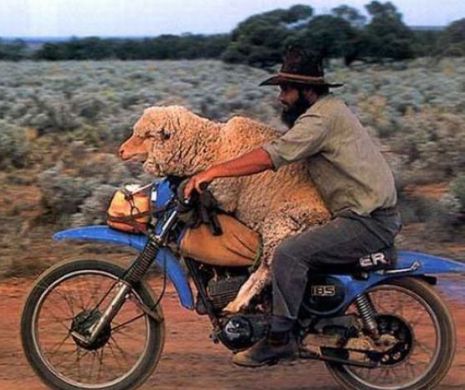 Australia, cel mai NEBUNESC loc de pe Terra | GALERIE FOTO