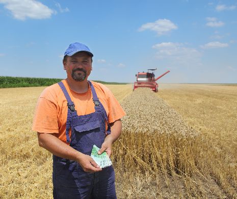 Cererile de plată pe suprafaţă ale fermierilor, preluate de APIA