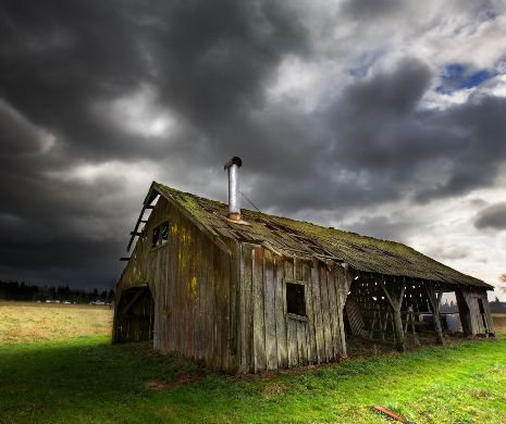 Comoara din hambar! Un texan a dat lovitura când a descoperit... | GALERIE FOTO SI VIDEO