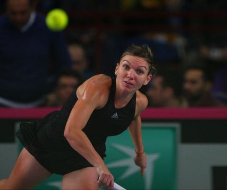 Coșmarul de la US Open revine la Roland Garros