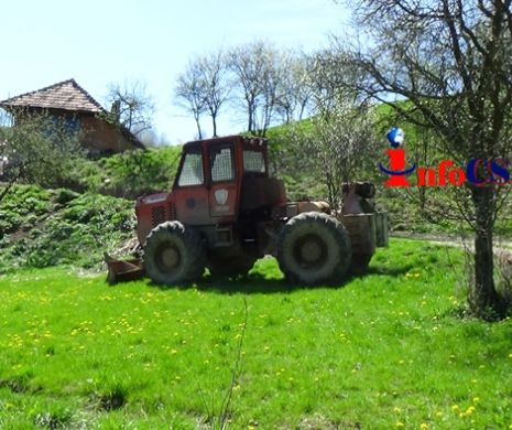 Cum se FURĂ PĂDURILE cu acordul primarilor. Studiu de caz într-o comună din Caraș Severin