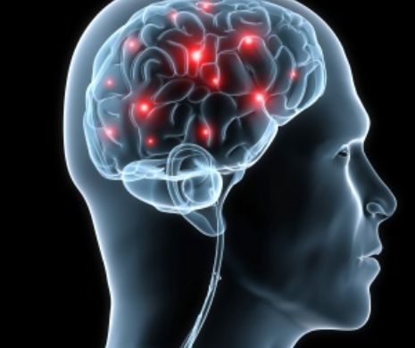 Dieta care ajută memoria și sistemul cognitiv