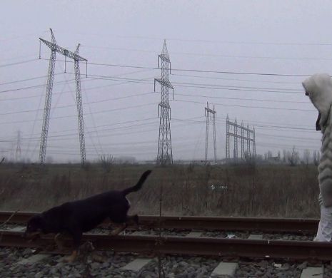 Documentare PREMIATE proiectate gratuit, două nopți, la Timișoara