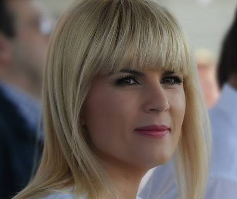 Elena Udrea: De acasă te poţi apăra mult mai bine. Dosarul meu are 81 de volume