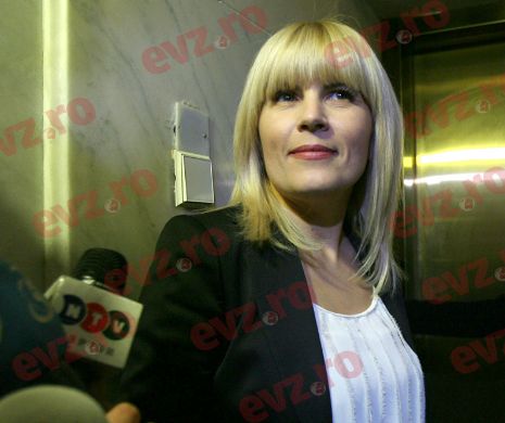 Elena Udrea: Pentru că un om a stat 6 luni la puşcărie fără să fie vinovat, cineva trebuie să platească