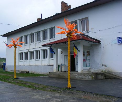 Fără apă şi asfalt, cu palmierul peste gard