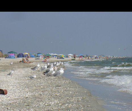 Firmele, încurajate să ofere bani de vacanţă