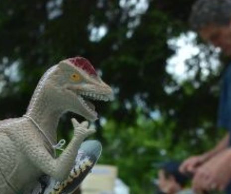 ”Geoparcul Dinozaurilor”, percheziționat de procurorii DNA
