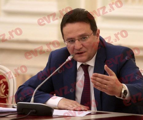 George Maior, audiat în comisiile parlamentare de politică externă