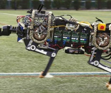 INCREDIBIL! Așa arată robotul-ghepard care sare peste obstacole!