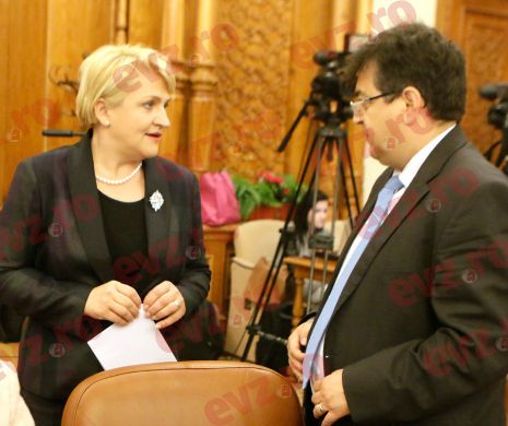 Lucia Varga: PNL ar putea vota proiectul de Cod silvic dacă se elimină din text articolul 20