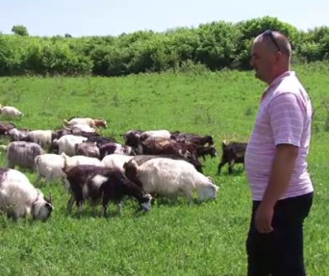 Mii de corporatiști au renunțat la joburi și s-au mutat la ȚARĂ. Vezi motivul | VIDEO